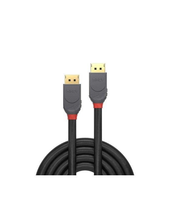 Lindy 36482 cable DisplayPort 2 m Negro