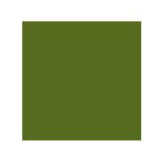 Cartulina guarro din a4 verde safari 185 gr paquete de 50 hojas - Imagen 1