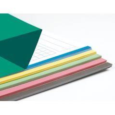 Recambio liderpapel a4 100 hojas 100 g/m2 cuadro 5 mm 4 taladros bandas de 5 colores - Imagen 1