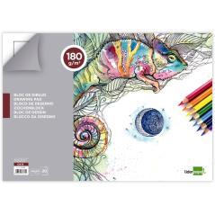 Bloc dibujo liderpapel lineal espiral 460x325mm 20 hojas 180 g/m2 con recuadroperforado - Imagen 3