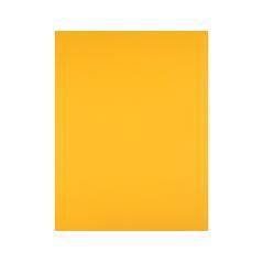 Cartulina liderpapel 50x65 cm 180 gr oro viejo unidad PACK 125 UNIDADES - Imagen 3