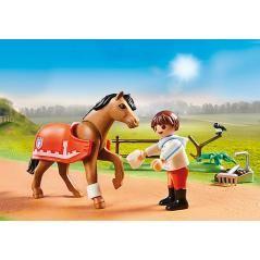 Playmobil coleccionable pony connemara - Imagen 4