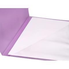 Carpeta liderpapel dossier a4 u ero lavanda opaco pack 10 unidades - Imagen 6