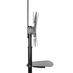 Pedestal movil para suelo ewent ew1540 para televisores de 37pulgadas - 70pulgadas - Imagen 10