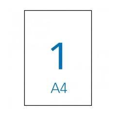 Apli etiquetas adhesivas 210x297mm inkjet c/rectos 1 x 10h poliéster blanco