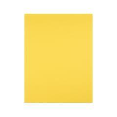 Cartulina liderpapel 50x65 cm 180g/m2 amarillo limon paquete de 25 - Imagen 3