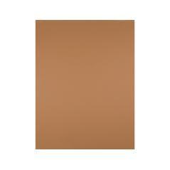 Cartulina liderpapel 50x65 cm 240g/m2 marron escolar paquete de 25 unidades