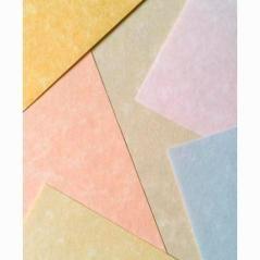 Michel papel parchment 180gr a4 pack 100u pergamino