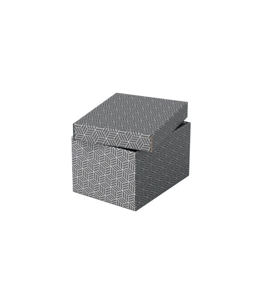 Pack 3 cajas grises 255x200x150mm esselte 628281