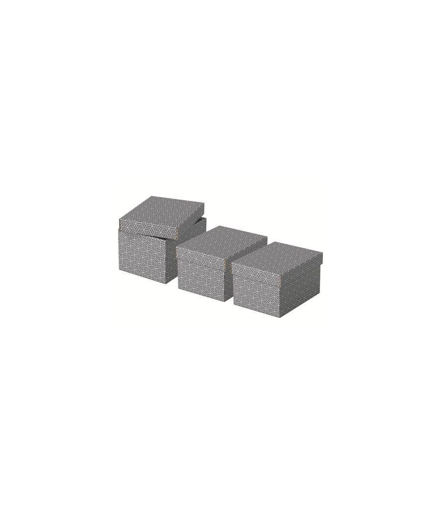 Pack 3 cajas grises 255x200x150mm esselte 628281