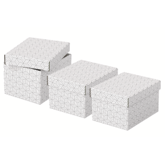 Pack 3 cajas blancas 255x200x150mm esselte 628280