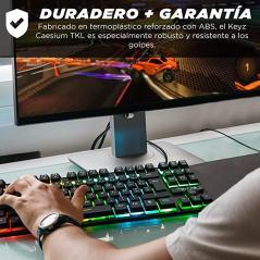 Gaming keyboard tkl membrane -- spanish layout