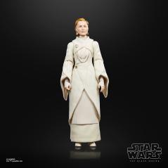 Figura hasbro the black series star wars : andor - senator mon mothma