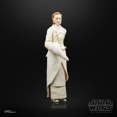 Figura hasbro the black series star wars : andor - senator mon mothma