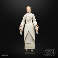 Figura hasbro the black series star wars : andor - senator mon mothma