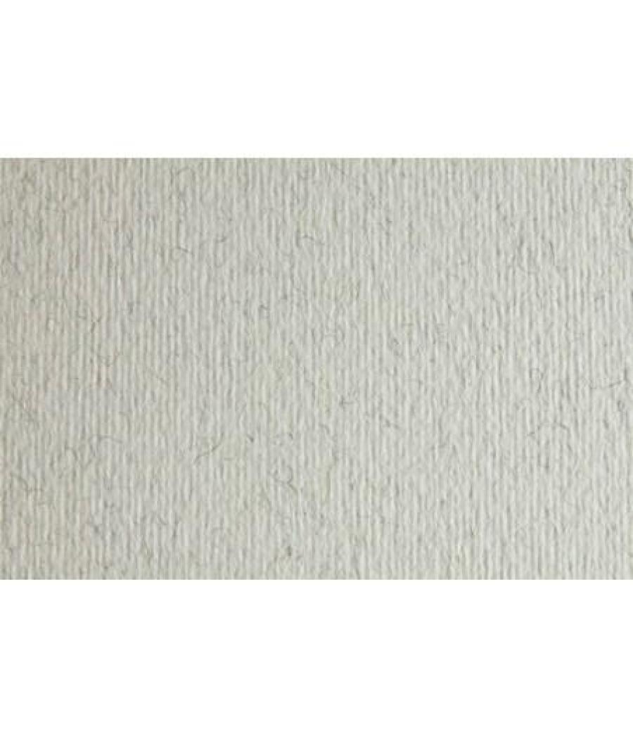 Sadipal cartulina lr 220 texturizada 50x70cm brina escarcha pack 20 unidades