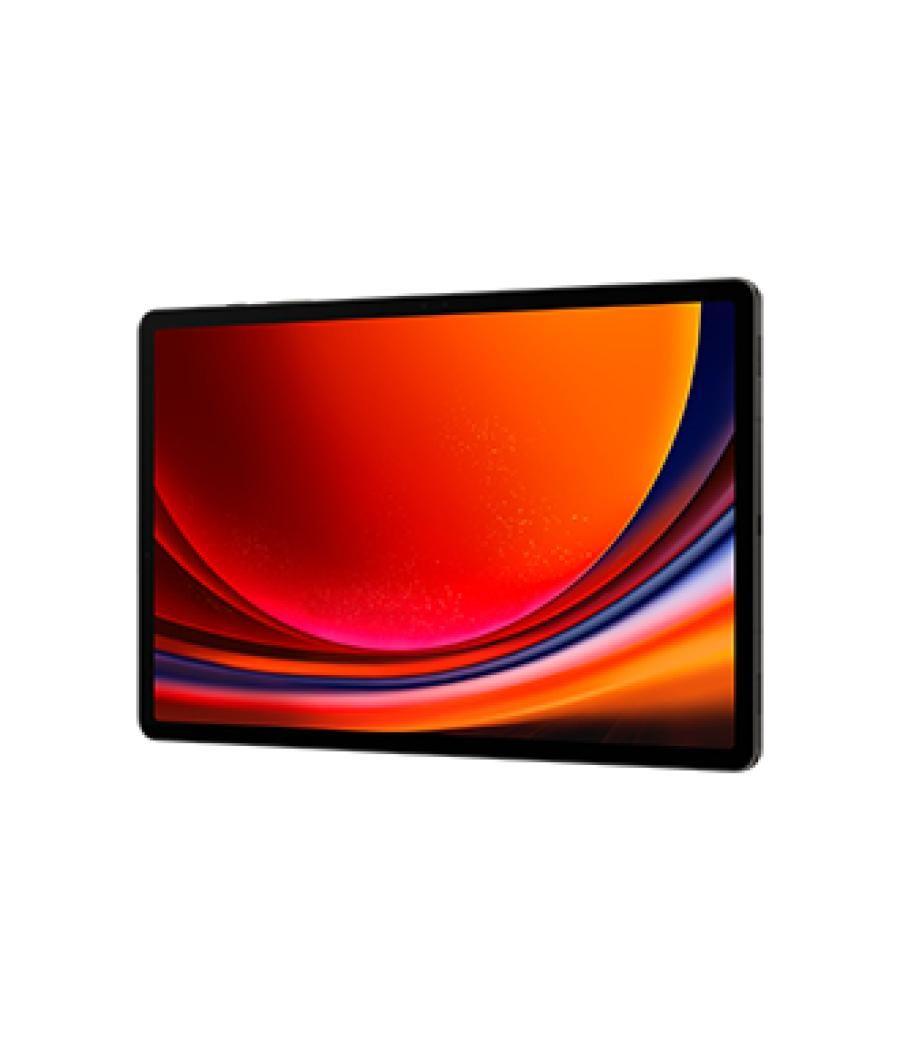 Samsung Galaxy Tab S9+ SM-X810N 256 GB 31,5 cm (12.4") Qualcomm Snapdragon 12 GB Wi-Fi 6 (802.11ax) Android 13 Grafito