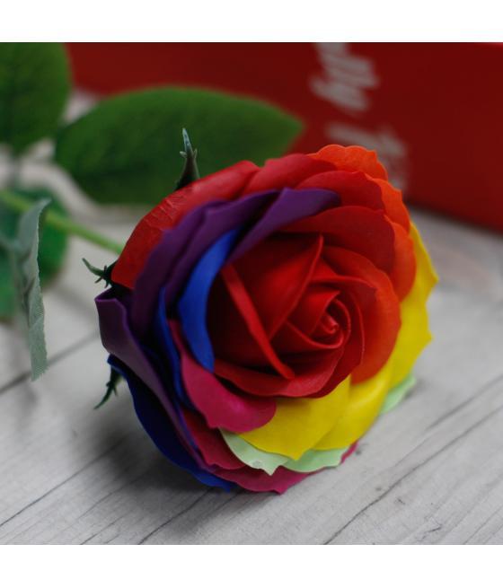 Rosa simple - Arco iris