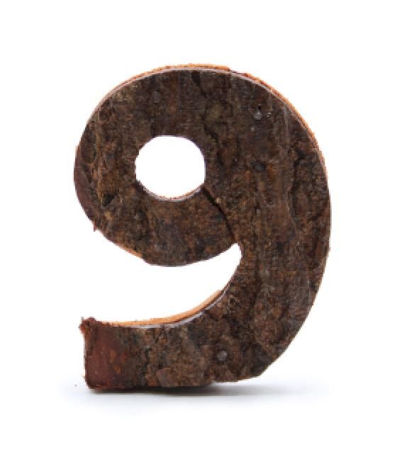 Número de corteza rústica - "9" (12) - Pequeño 7cm