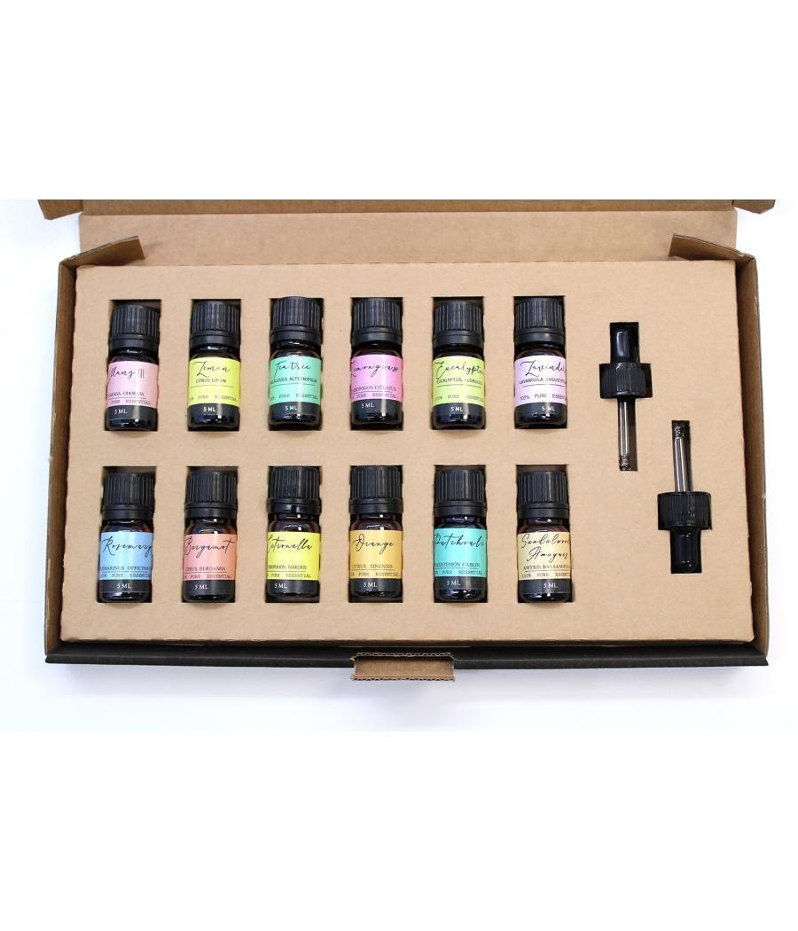 Aromatherapy Essential Oil Set - The Top 12