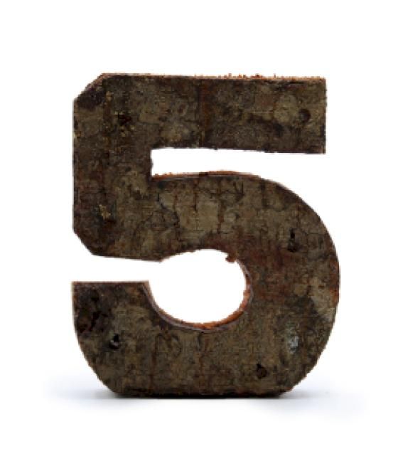 Número de corteza rústica - "5" (12) - Pequeño 7cm