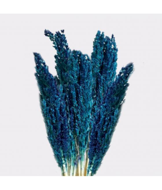 Manojo de Hierba Cantal x 6 - Azul