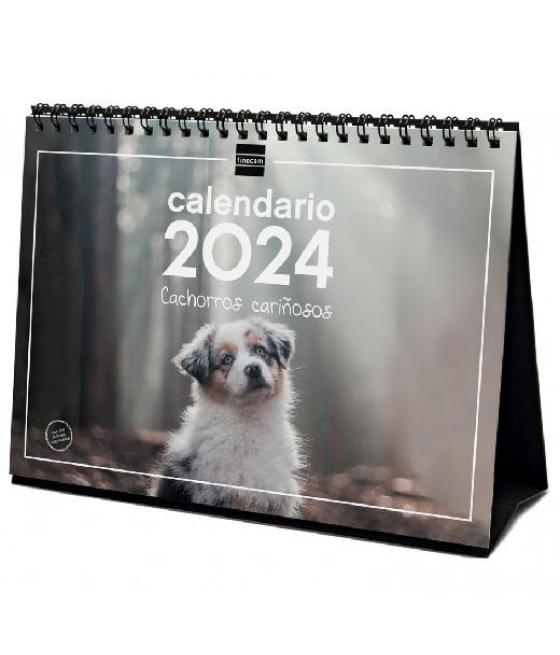 Finocam calendario de sobremesa s imágenes cachorros para escribir 2024