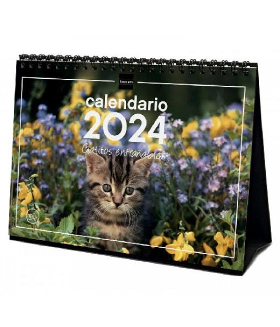Finocam calendario de sobremesa s imágenes gatitos para escribir 2024