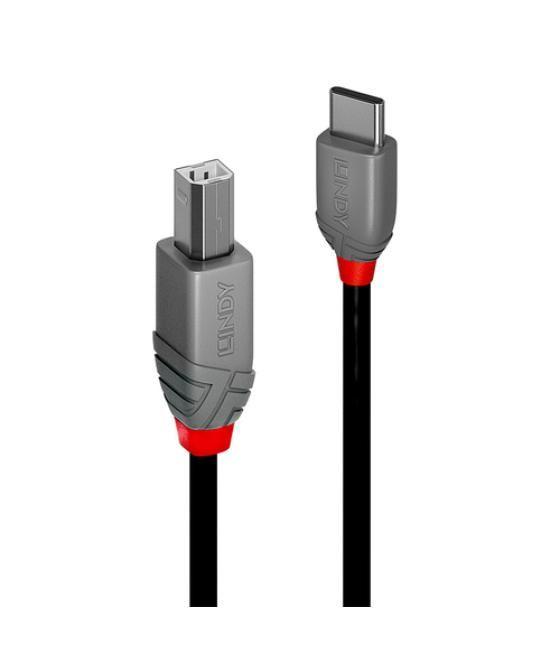 Lindy 36942 cable USB 2 m USB 2.0 USB C USB B Negro
