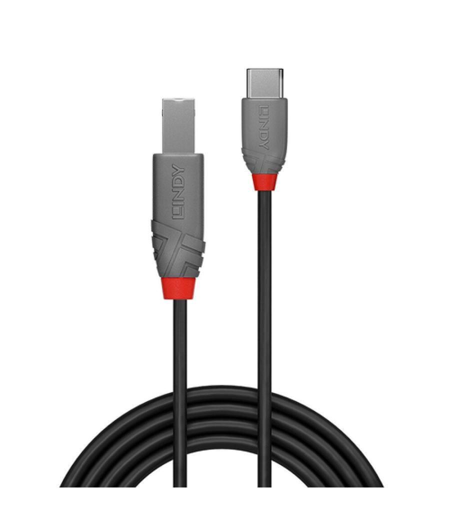 Lindy 36942 cable USB 2 m USB 2.0 USB C USB B Negro