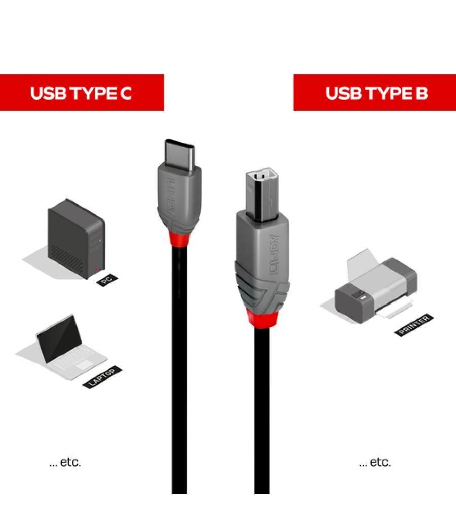 Lindy 36942 cable USB 2 m USB 2.0 USB C USB B Negro