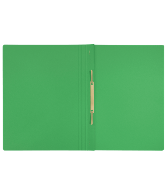 Leitz 39040055 carpeta cartón verde a4