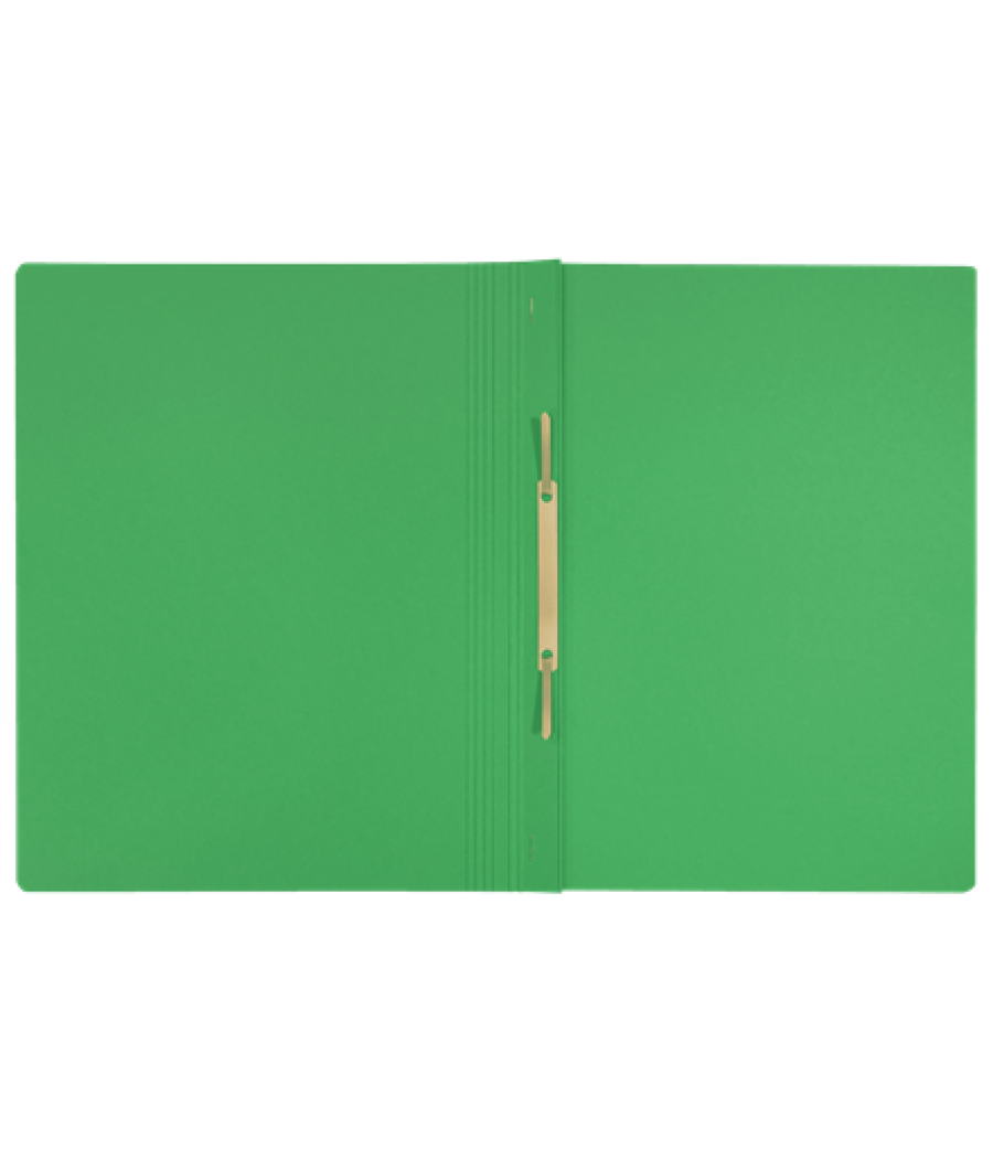 Leitz 39040055 carpeta cartón verde a4