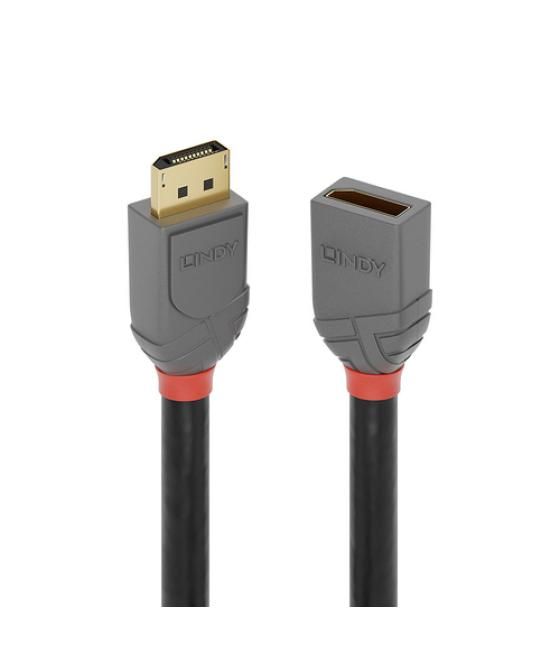 Lindy 36498 cable DisplayPort 3 m Negro