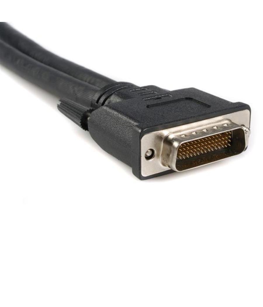 StarTech.com Cable de 0,2m de LFH59 DMS-59 a doble dual VGA - DMS59 Macho - 2x VGA Hembra