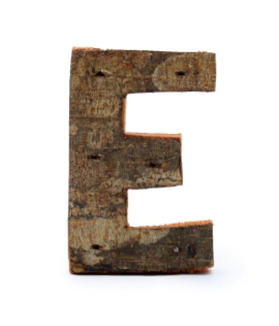 Letra de Corteza Rústica - "E" (12) - Pequeña 7cm