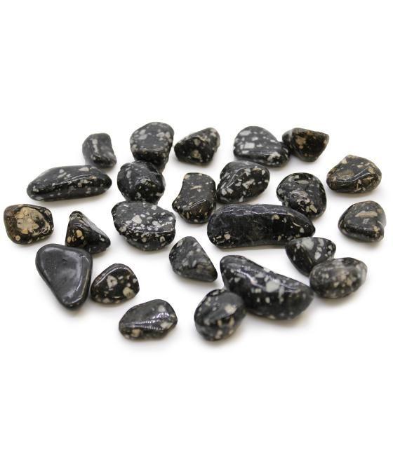 Pequeñas piedras africanas - Gallina de Guinea