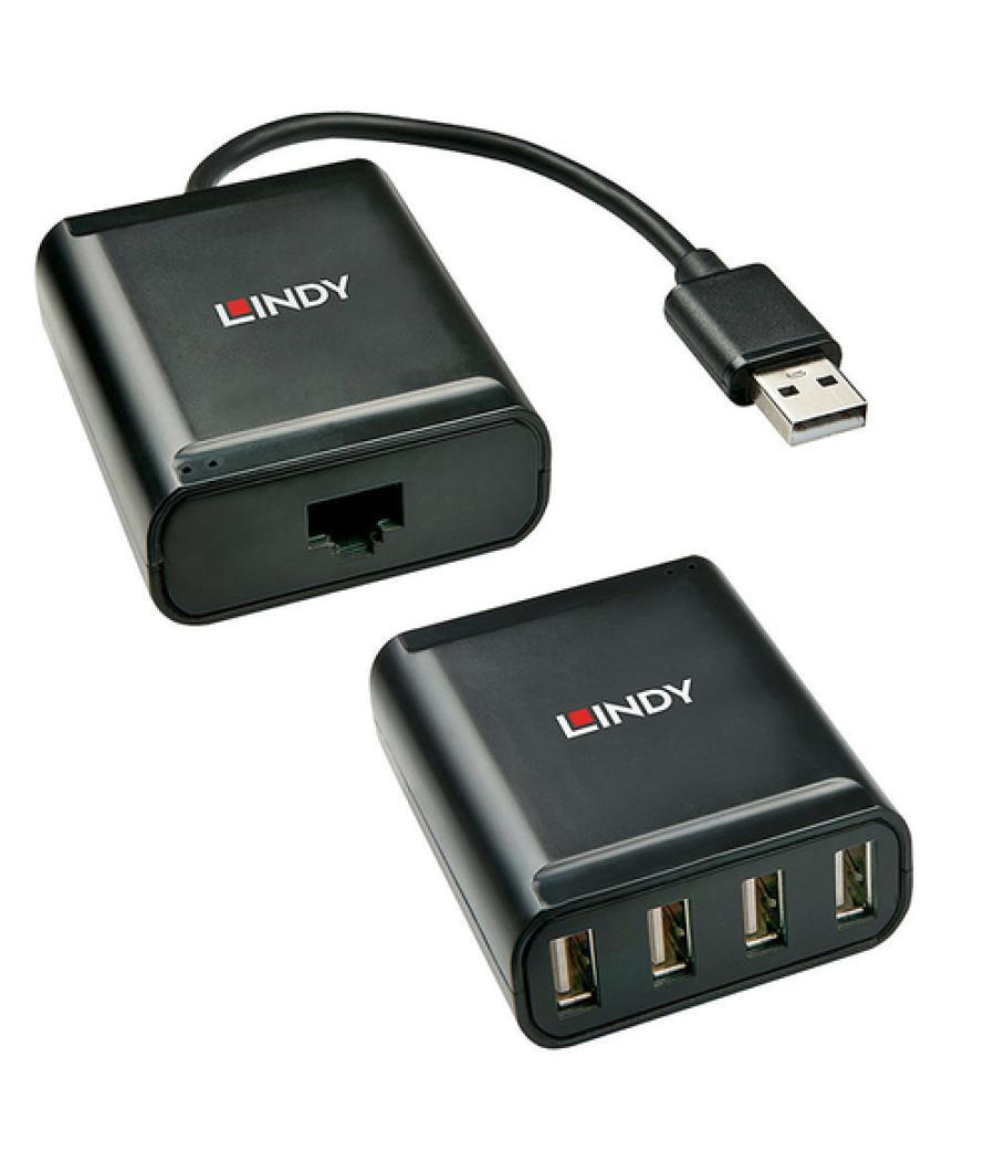 Lindy 42679 hub de interfaz USB 2.0 Negro