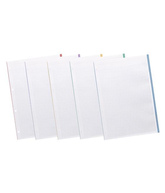 Recambio liderpapel a4 200+50 hojas 90g/m2 cuadro 5 mm 4 taladros bandas de 5 colores