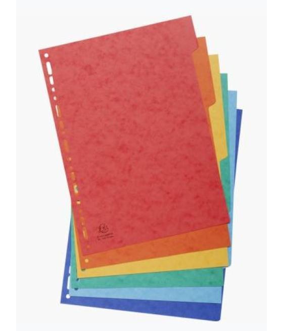 Exacompta separadores nature future cartulina lustrada 225gr 6 posiciones a4 colores