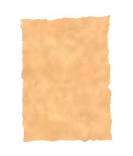 Michel pergamino troquelado 150gr a4 pack 25u ocre