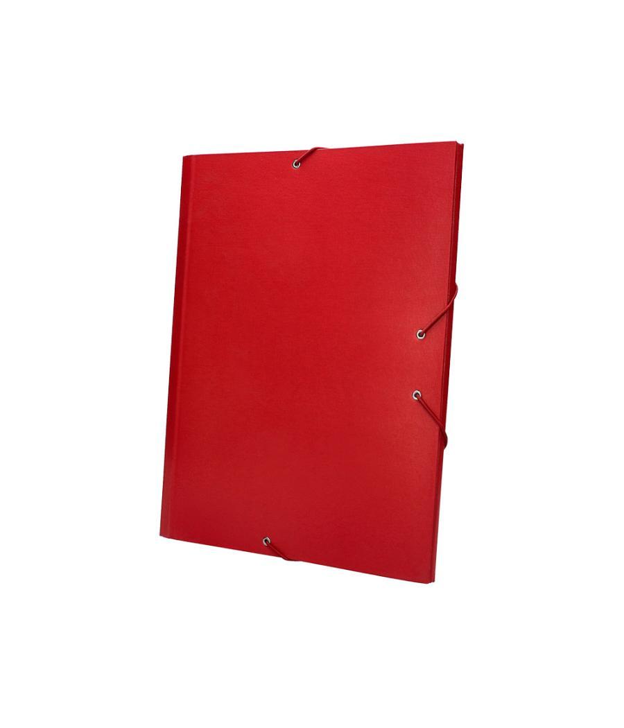 Carpeta clasificadora liderpapel 12 departamentos folio prolongado cartón forrado roja