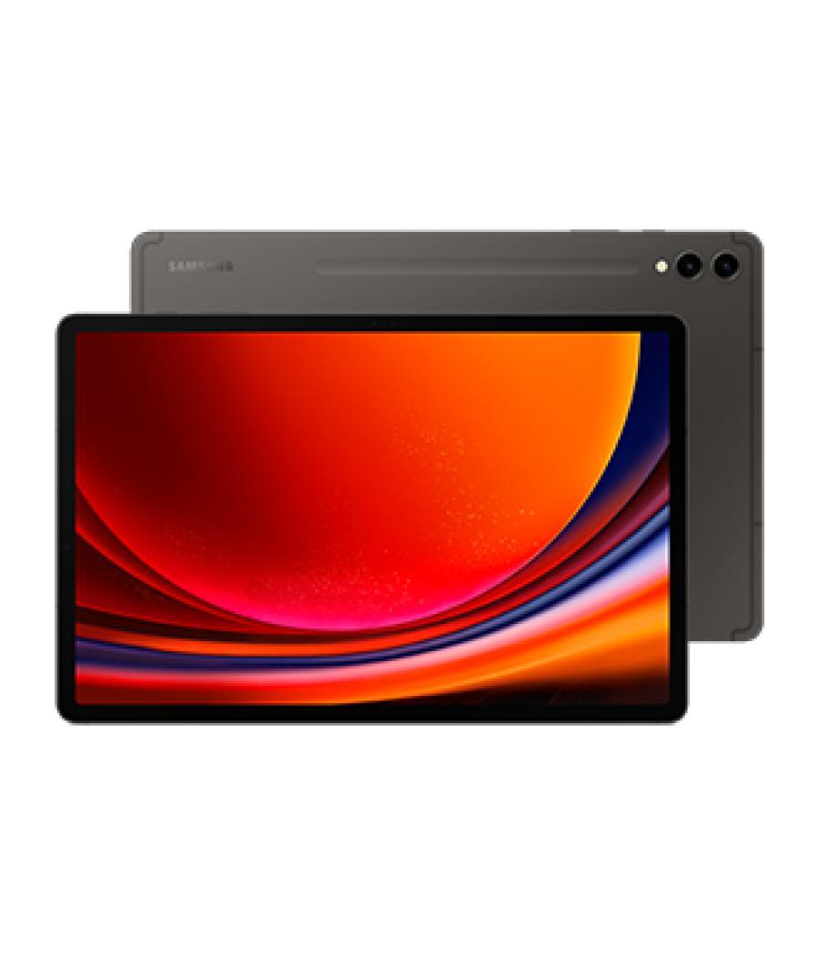 Samsung Galaxy Tab S9+ SM-X810N 512 GB 31,5 cm (12.4") Qualcomm Snapdragon 12 GB Wi-Fi 6 (802.11ax) Android 13 Grafito