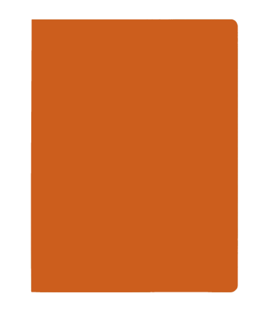 Subcarpeta simples intensas 250 grs folio color naranja gio 400040653