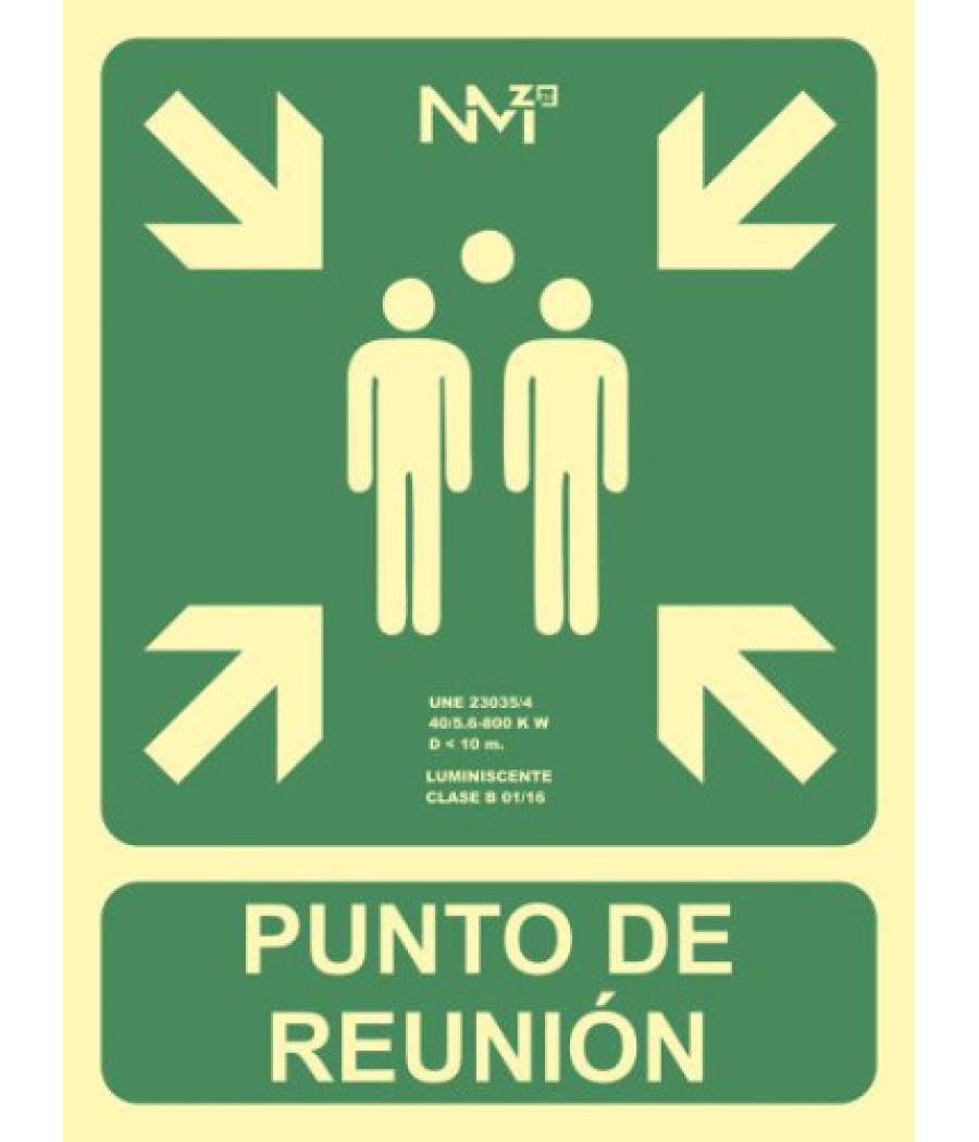 Señal "punto de reunión" 224x300 pvc verde archivo 2000 6170-07h ve