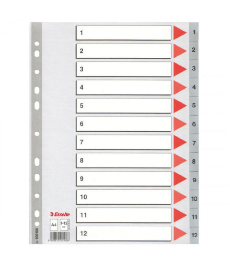 Separador numerico polipropileno multitaladro 1-12 formato a4 color gris esselte 47138