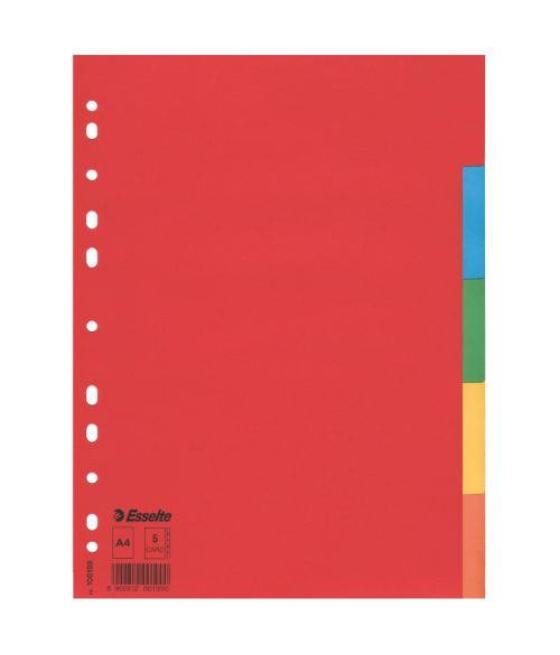 Separador de carton con 5 posiciones formato a4 colores vivos esselte 100199