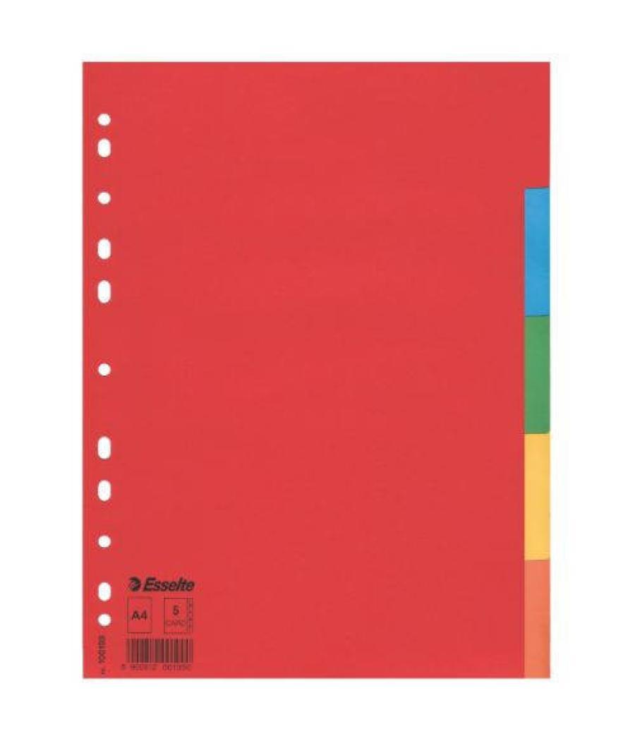 Separador de carton con 5 posiciones formato a4 colores vivos esselte 100199