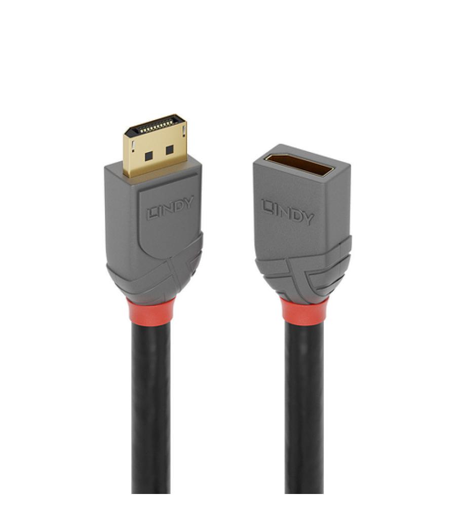 Lindy 36496 cable DisplayPort 1 m Negro