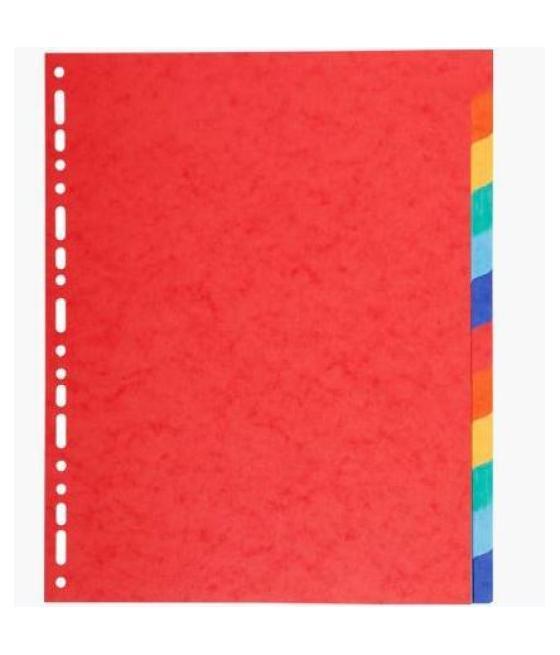 Exacompta separadores 12 posiciones a4 maxi cartulina 220gr